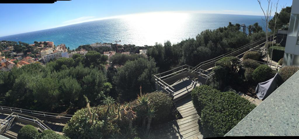 Unique - Costa Plana Cap-d'Ail